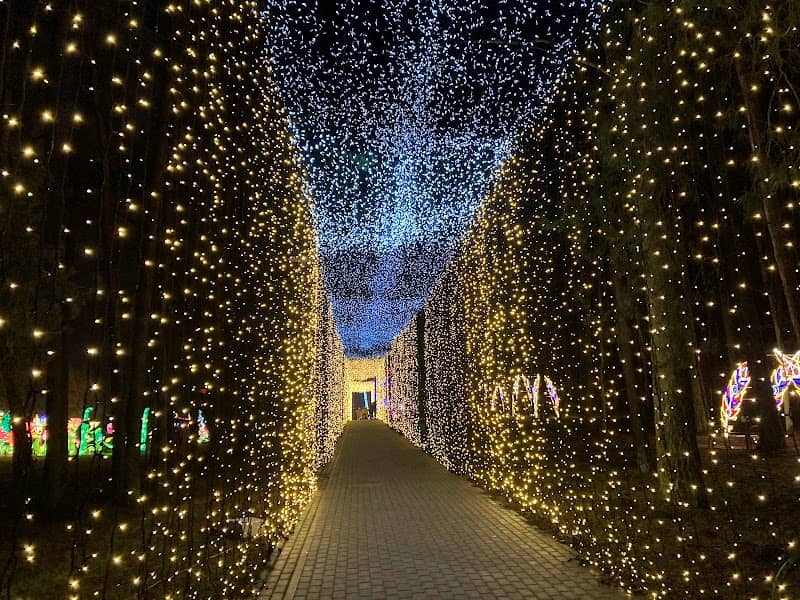 Garden of Lights - Smerfy Szczecin - Image 2