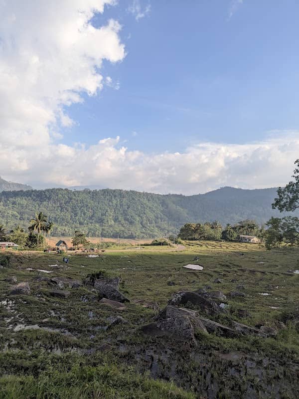 රජඇළ පිහිල්ල - Rajaela pihilla - Image 1
