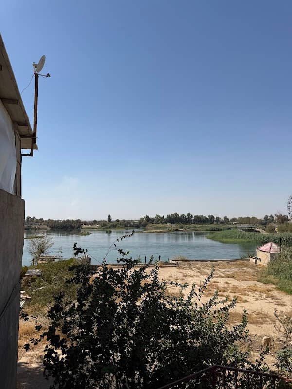 الغابات - Image 1