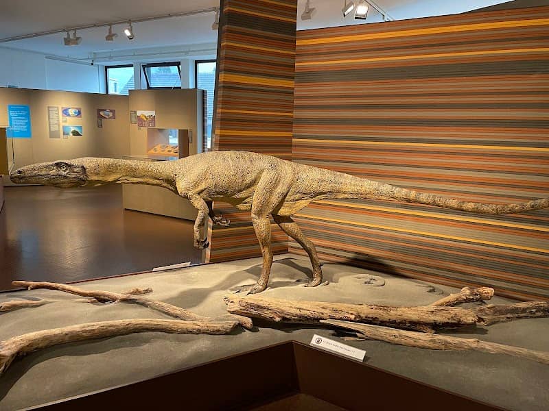 Bündner Naturmuseum - Image 1