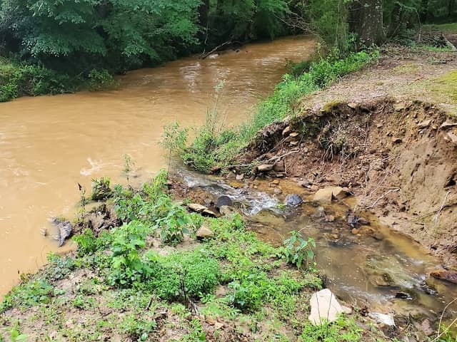 Woods Creek, Hamilton, AL - Image 2