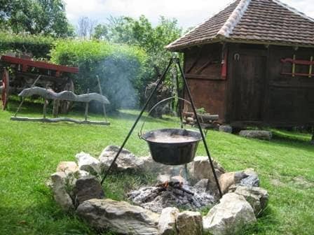 Domacinstvo Jovanovic - Seoski turizam / Rural Tourism - Image 1