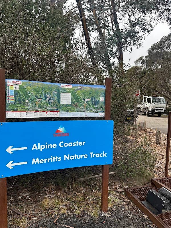 Alpine Coaster - Image 1
