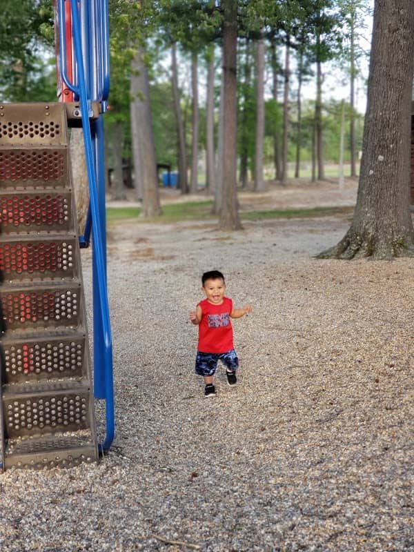Malvern City Park - Image 1