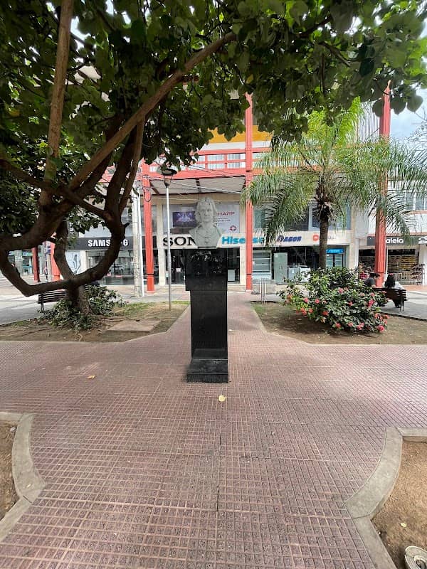 Busto de Cristóbal Colón - Image 1
