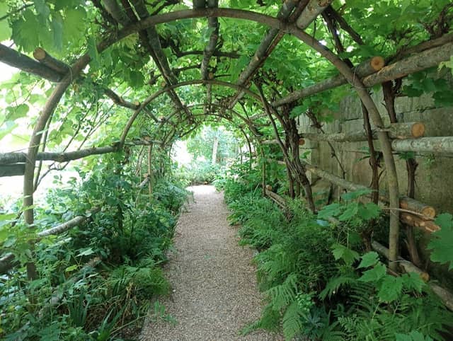 Queen Eleanor's Garden - Image 1