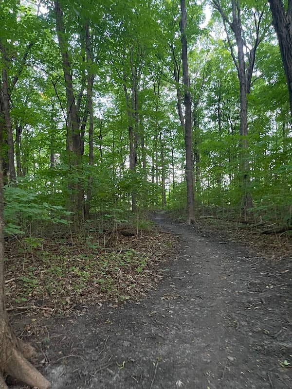 Weaver Lake Trail Head - Image 2