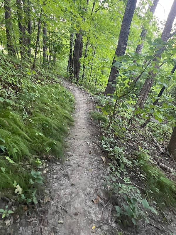 Weaver Lake Trail Head - Image 1