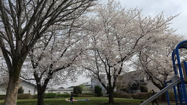 Hanazonoshiki Park - Image 1