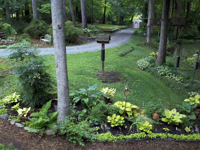 Forest Lane Botanicals - Image 2