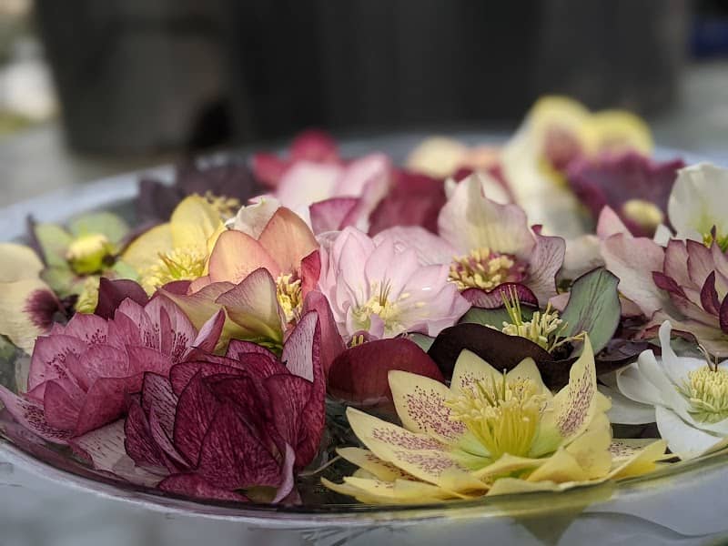Forest Lane Botanicals - Image 1