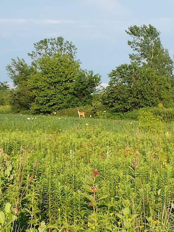 Trailhead Park - Image 3