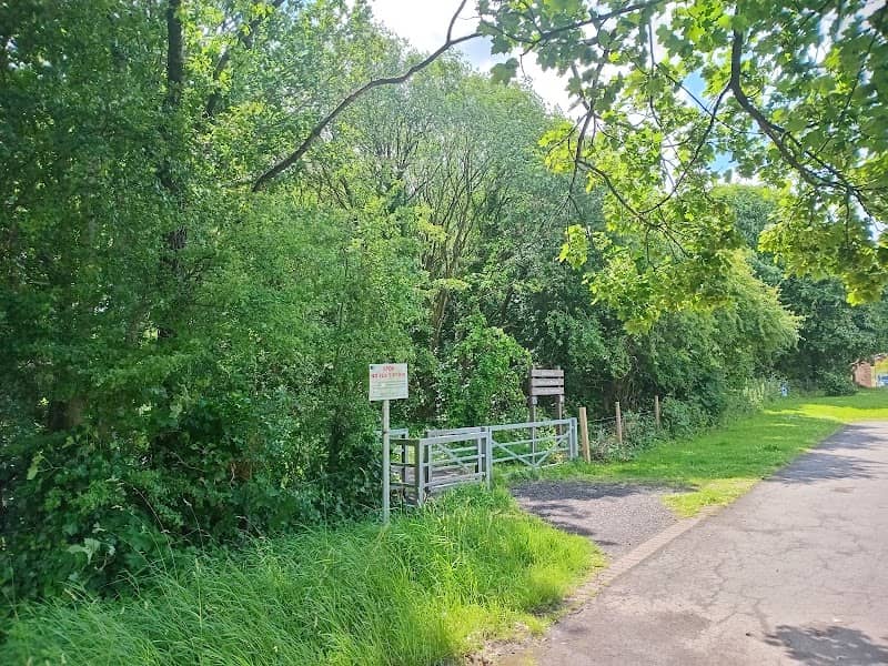 Udston and Glenlee Community Woodland - Image 2