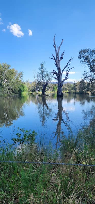Wetlands picnic area - Image 1