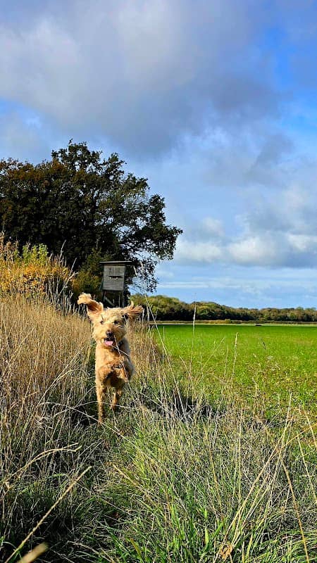 Shortgrove Park - Image 1