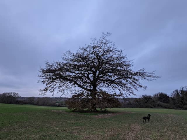 Tailby Meadow - Image 2
