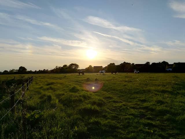 Tailby Meadow - Image 1