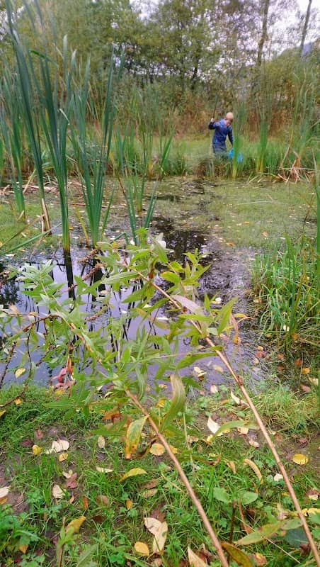 Paddenpoelen - Image 2