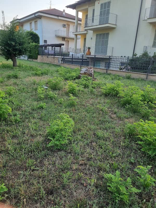 Giardino pubblico - Image 2
