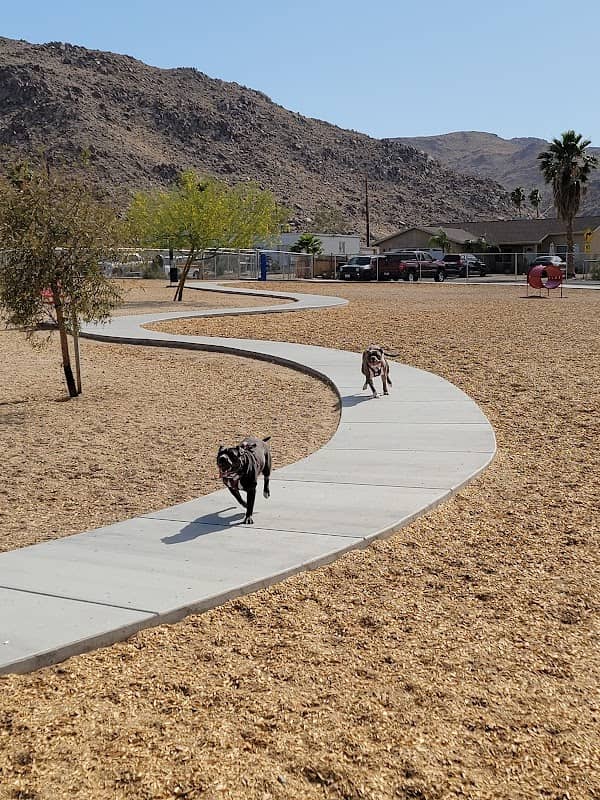 Twentynine Palms Dog Park - Image 1