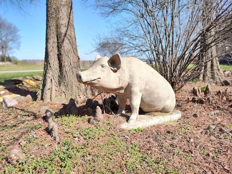 Ngus the Lucky Pig Statue - Image 1