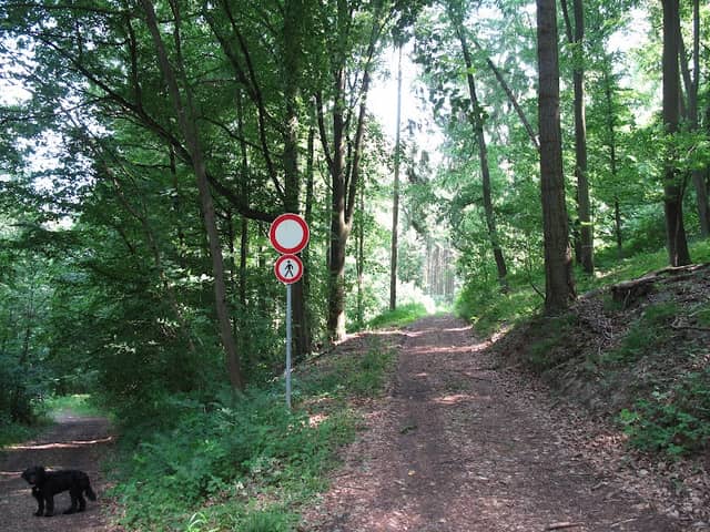 Leitenrain Nature Reserve - Image 1