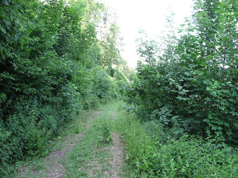 Leitenrain Nature Reserve - Image 2