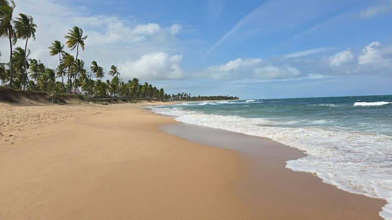 Praia do Papa Gente - Image 1