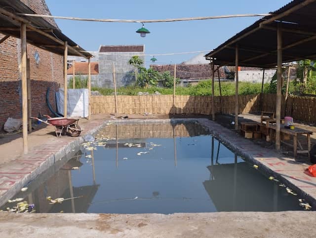 Kolam Pemancingan MENUL'S - Image 1