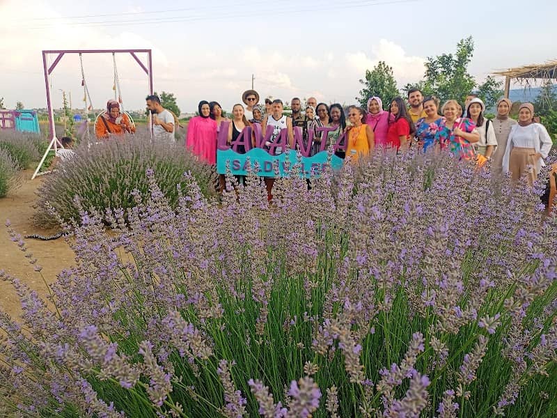 SALDİVLER Lavanta bahçesi - Image 2