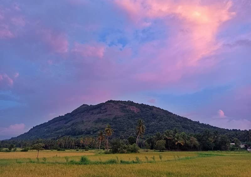 Veezhumala Eco Tourism - Image 1