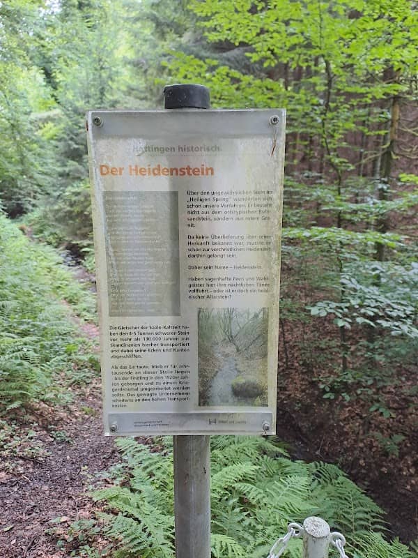 Heidenstein (Granit-Findling) - Image 1
