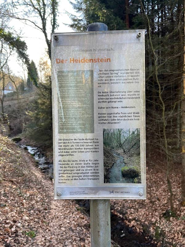 Heidenstein (Granit-Findling) - Image 2