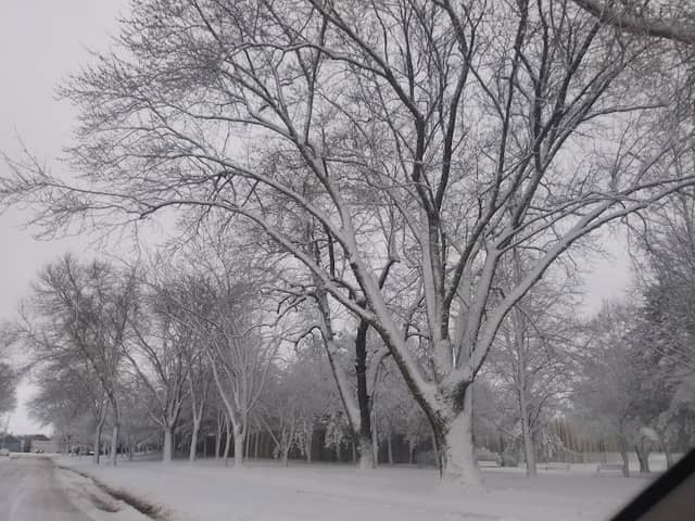 Morin Park - Image 1