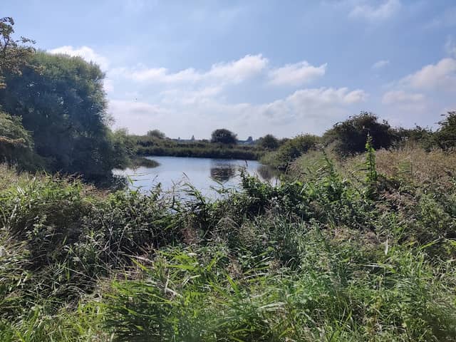 Chapel Pit - Image 2