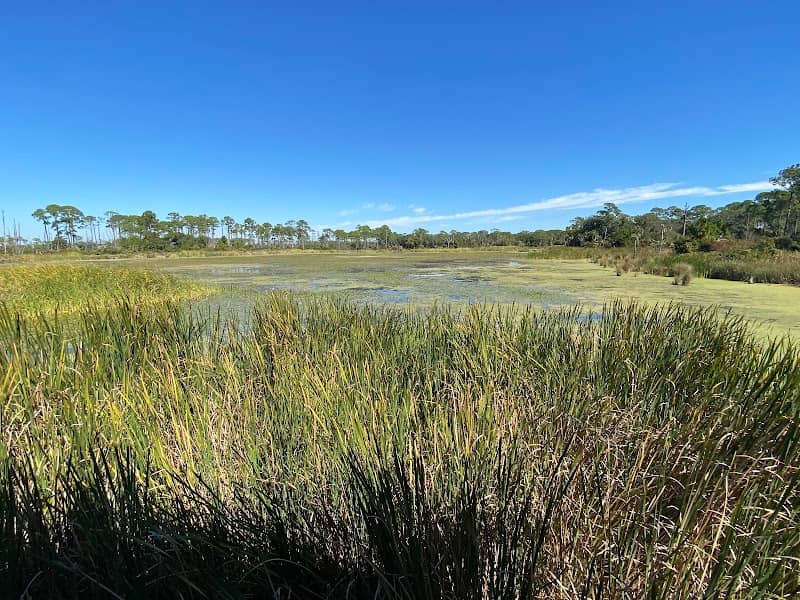 Headquarters Pond Trail - Image 2