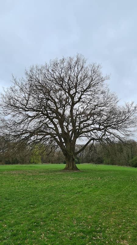 Site of Western Park Golf Course (a green space with footpaths) - Image 2
