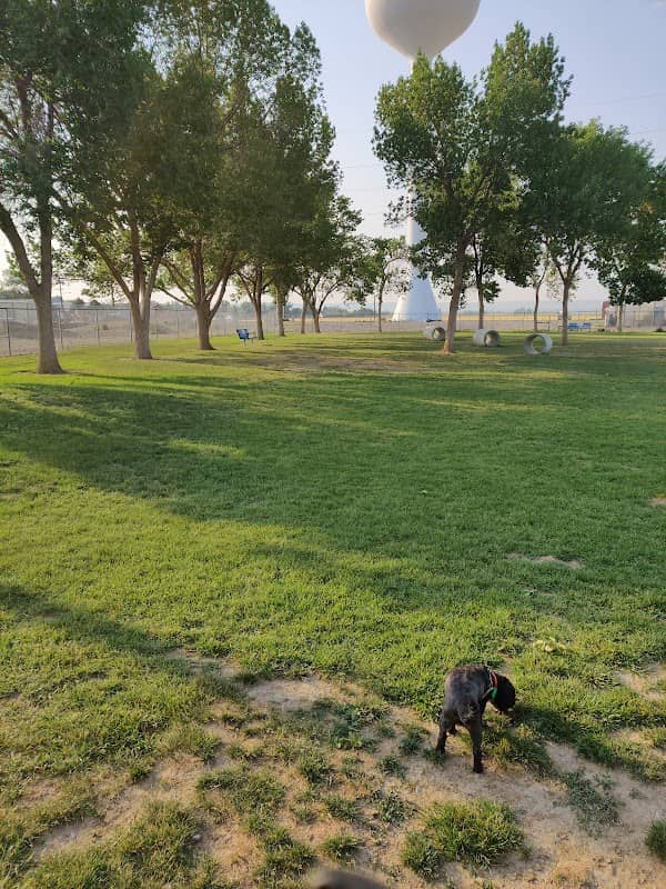 Wiggly Field Off-Leash Dog Park - Image 1
