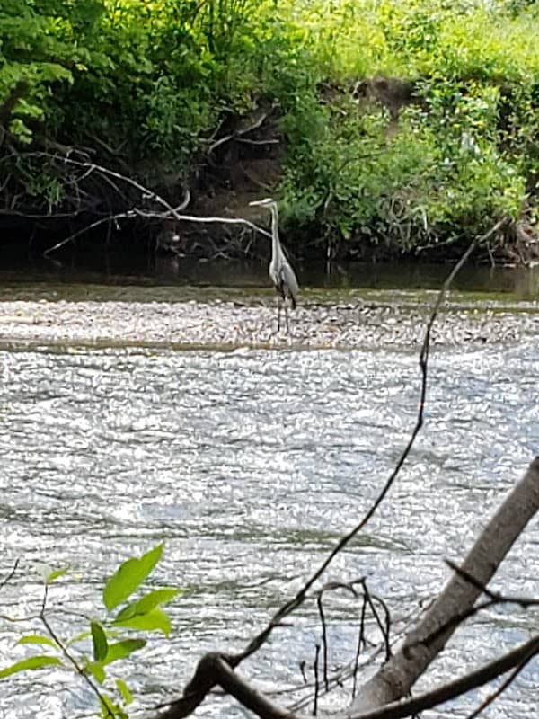 Mohawk River Trail - Image 1