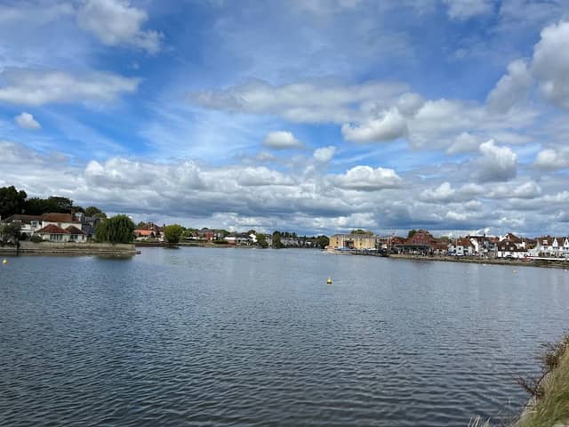 The Oyster Trail - Image 1