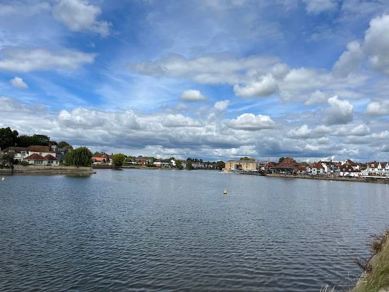 The Oyster Trail - Image 1