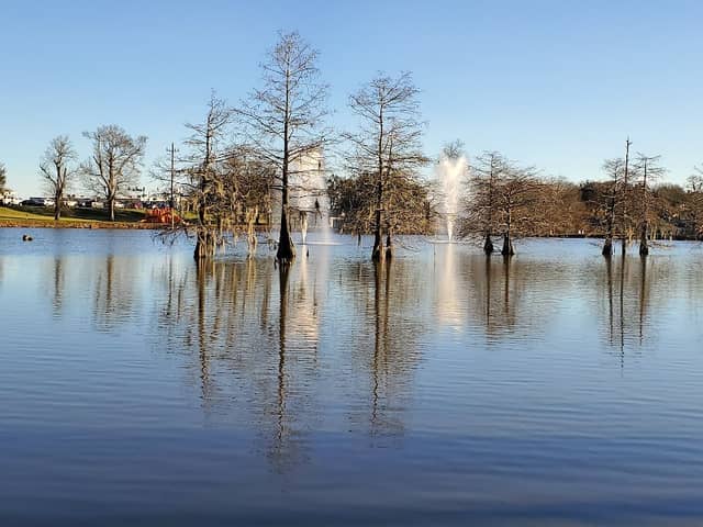 Beaver Park - Image 1