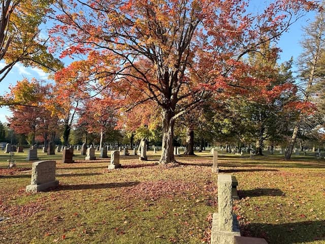 Acacia Park Cemetery - Image 1