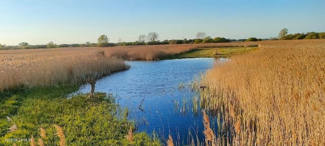 Great Fen - Image 2