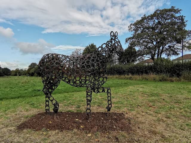 The Daisy Field - Image 1