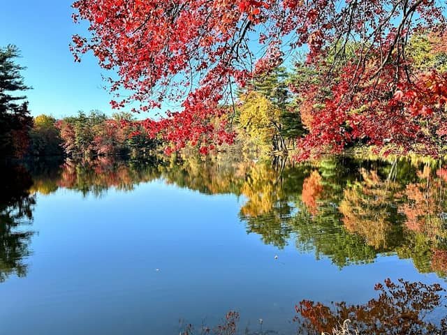 Pine Lake Park - Image 1