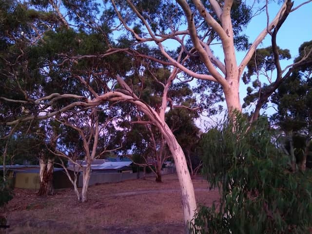 Beckman Reserve - Image 1