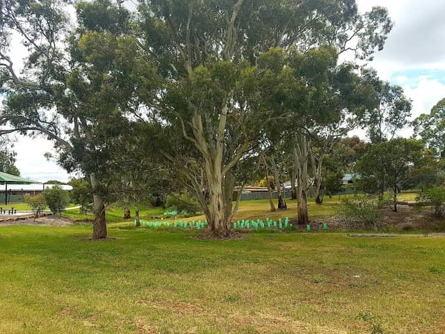 Beckman Reserve - Image 2