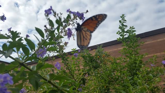 Lexington Creek Park - Image 2