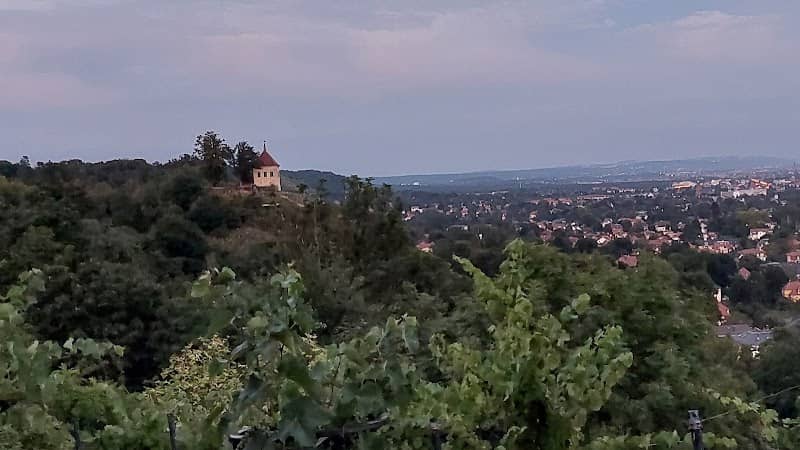 Aussichtspunkt Radebeul West über den Weinbergen unterhalb der Friedensburg - Image 1